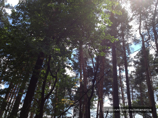 photo 98626