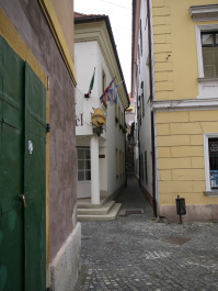 photo 317152