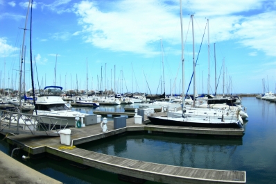 photo 1105775