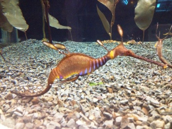 photo 1115193
