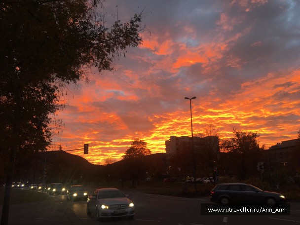 photo 1702712