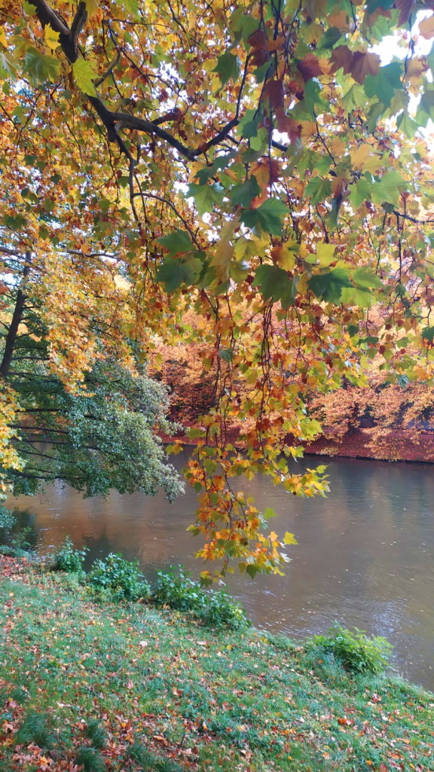 photo 1951767