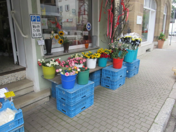 photo 636235