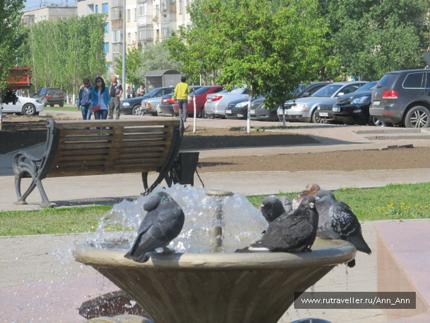 photo 1250026