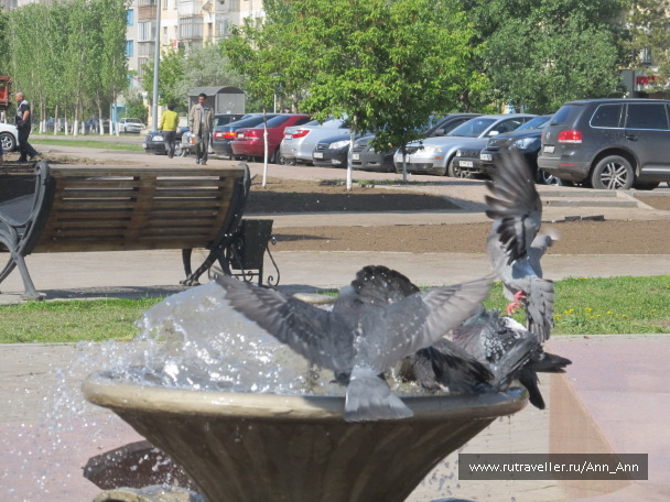 photo 1250027