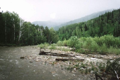photo 635996