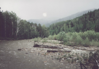 photo 636115