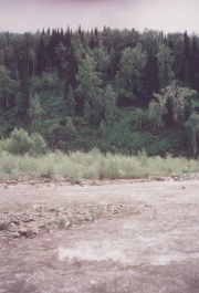 photo 636116