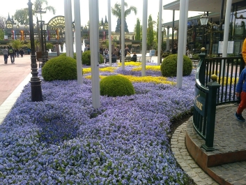 photo 777665