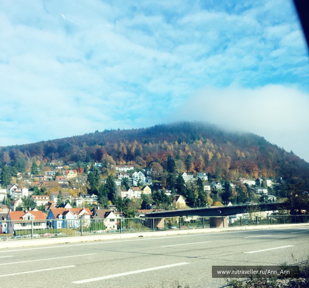 photo 1567510