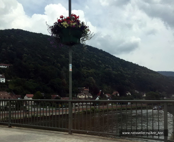 photo 1642310