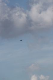 photo 1156662