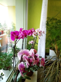 photo 1772845