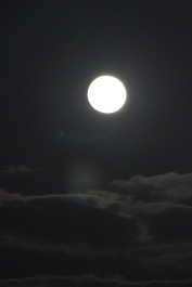 photo 1219613