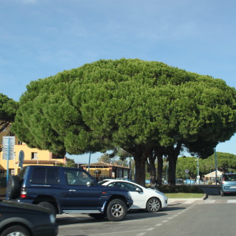 Вдоль Французской ривьеры