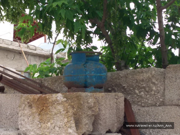 photo 1285782