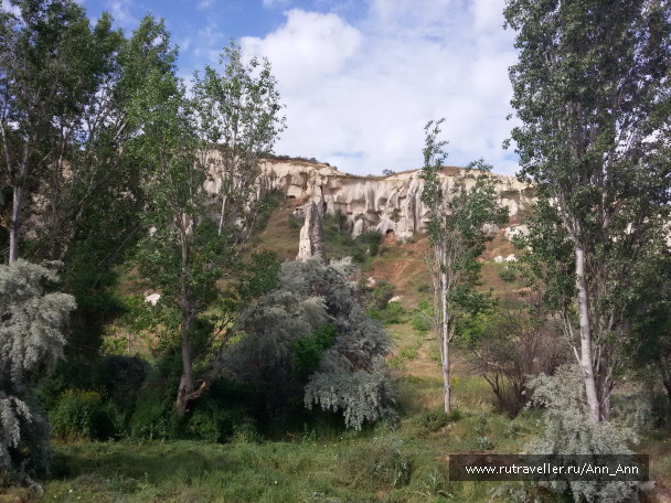photo 1285819