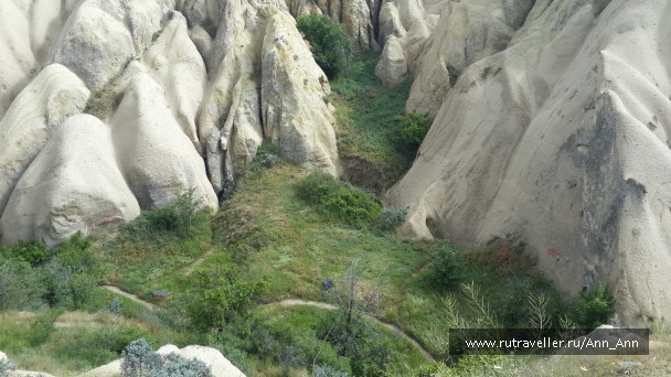 photo 1285830