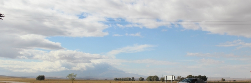photo 899259