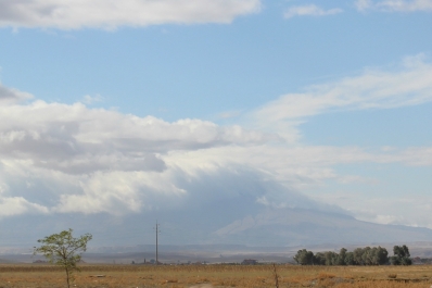 photo 899260