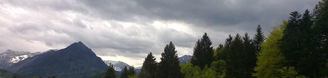 photo 1237894