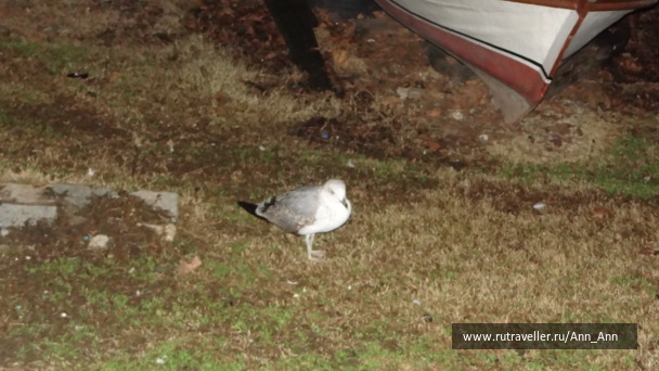 photo 1548467