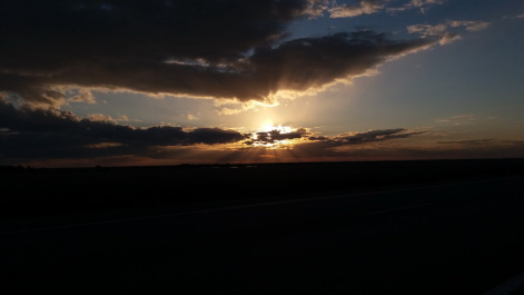 photo 1295253