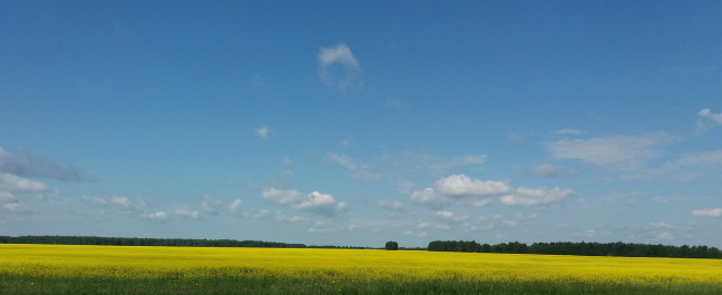 photo 1334976