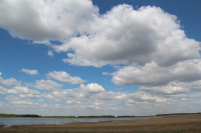 photo 1399412