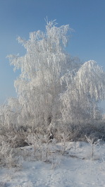 photo 1579452