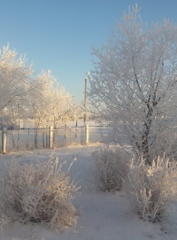 photo 1579600