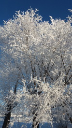 photo 1579626