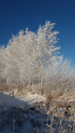 photo 1581722