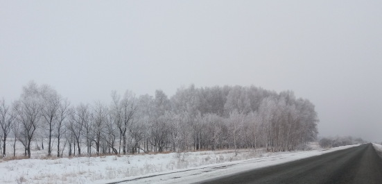 photo 1616011