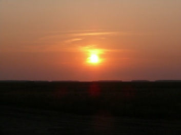 photo 1665164