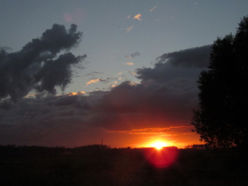 photo 1681079