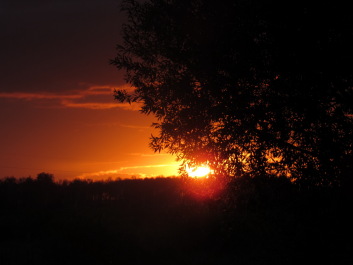 photo 1683584