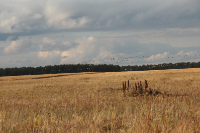 photo 675749