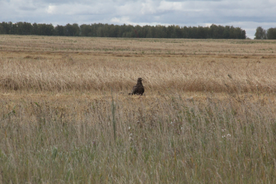 photo 675752