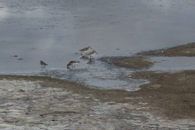 photo 675756