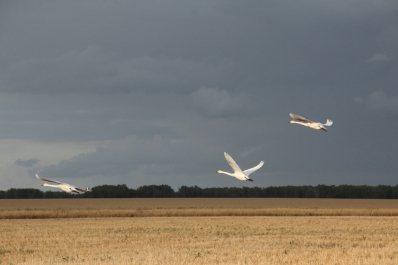 photo 675762