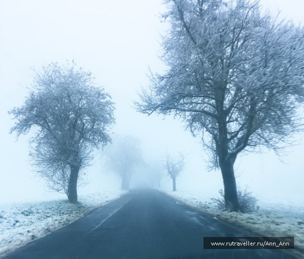 photo 1575231