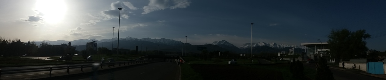 photo 1271909