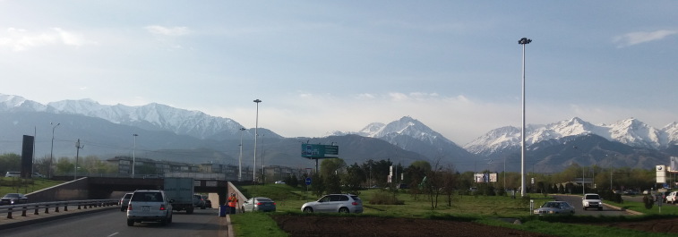 photo 1271911
