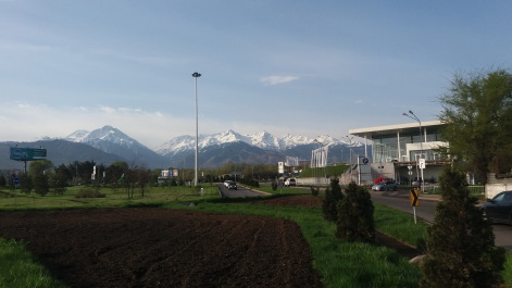 photo 1271914