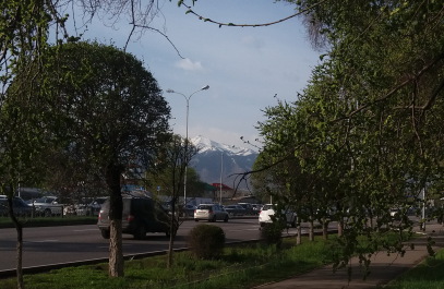 photo 1271922