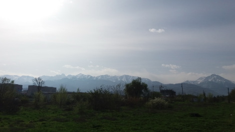 photo 1272012