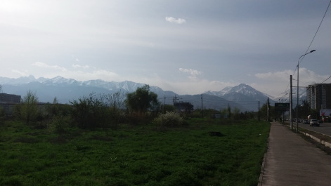 photo 1272013