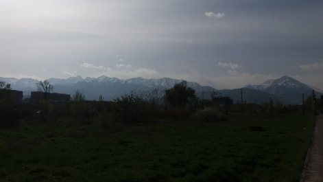 photo 1272014