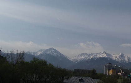 photo 1272015